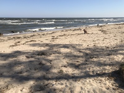 吕根Coastline