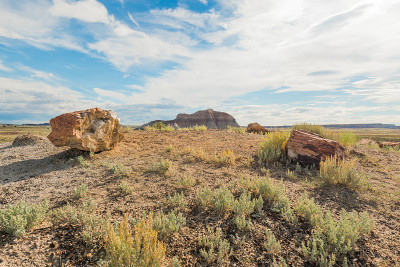 水晶森林，石化森林国家公园，AZ。