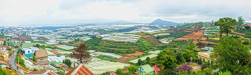 大叻高原上的全景村庄