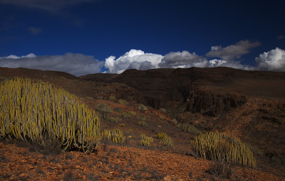 大加那利岛，风景沿徒步旅行路线之间的ravives Barranco del Toro和Barran