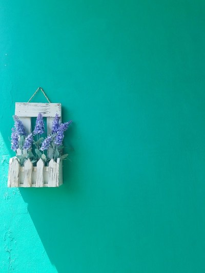 “壁花”