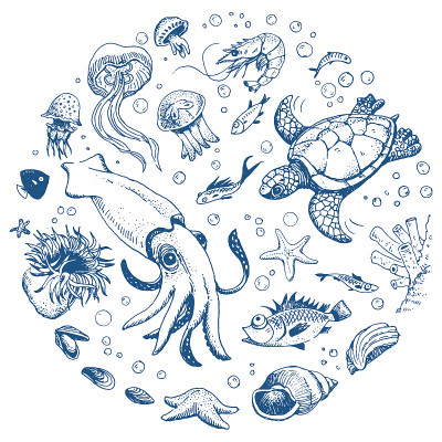 海洋生物组