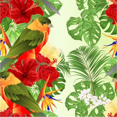 Seamless texture tropical bird cute small  funny  