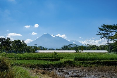 稻田晨景景观。
