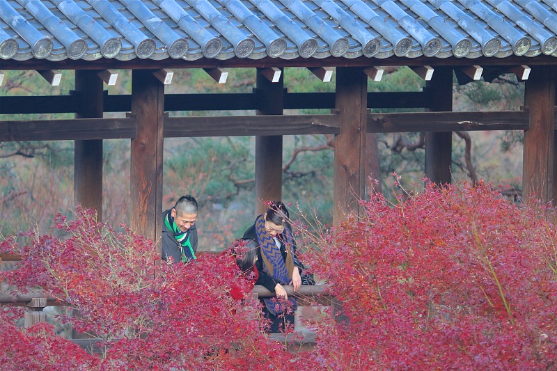 日本家庭在tsutenkyo地区的东福寺