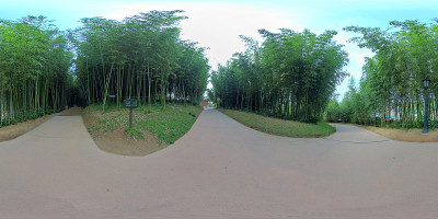 丹阳竹林360度球面全景图。