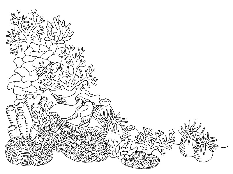 珊瑚海图形艺术黑白水下景观插图矢量