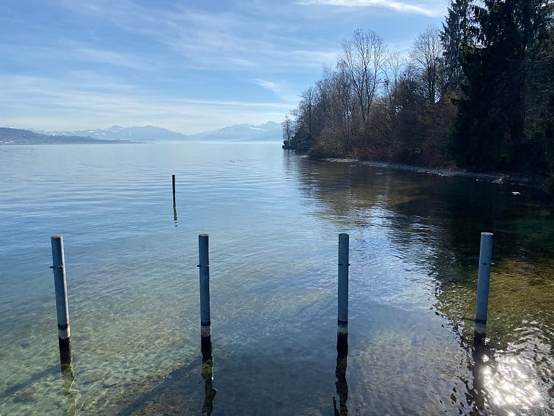 苏黎世湖(Zuerichsee oder Zürichsee)和海岸景观与植被在欧半岛地区的冬末，W