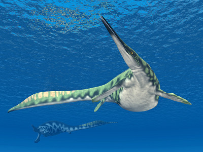 海洋爬行动物Hupehsuchus
