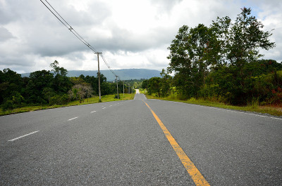好崖国家公园的森林路