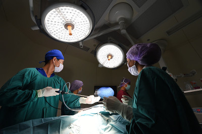 兽医师组在手术室进行腹腔镜手术