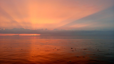 海
