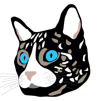 黑猫头，蓝眼睛