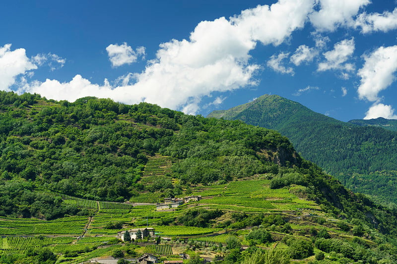 夏季沿阿普里卡山道风景