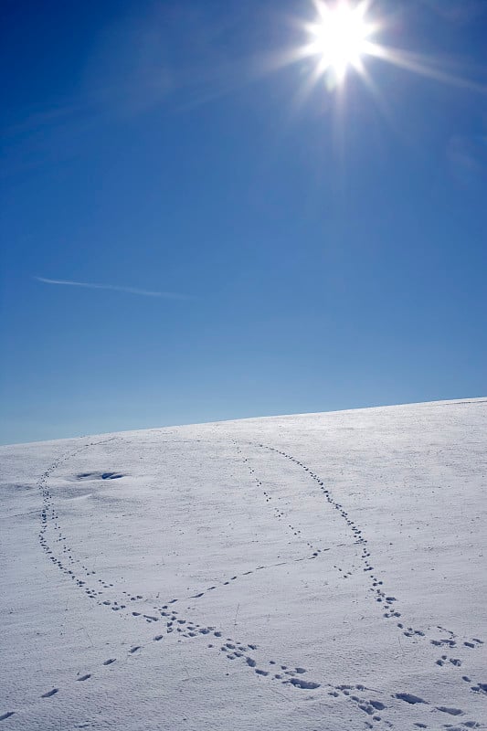 的多雪小山