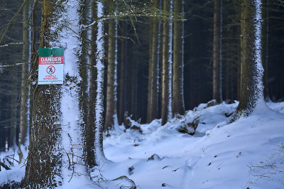 森林危险标志山地车道严格禁止行人在冷杉树干在令人惊叹的冬天雪地里，爱尔兰都柏林森林国家公园