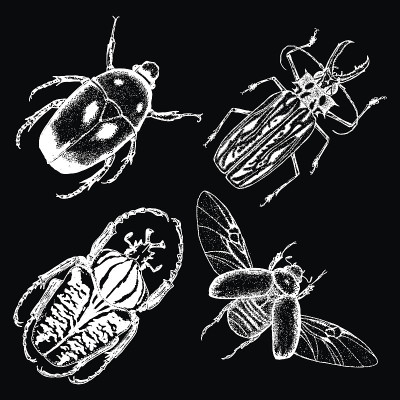 Insect stipple drawing set isolated. Insects and b