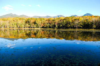 日本北海道东部知床五湖秋季
