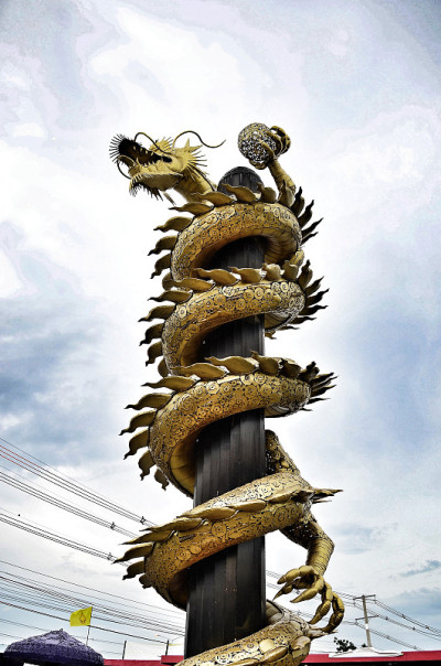 金龙钢