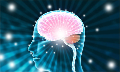 人类大脑有化学电信号