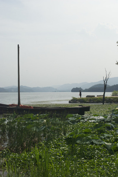 两水头像