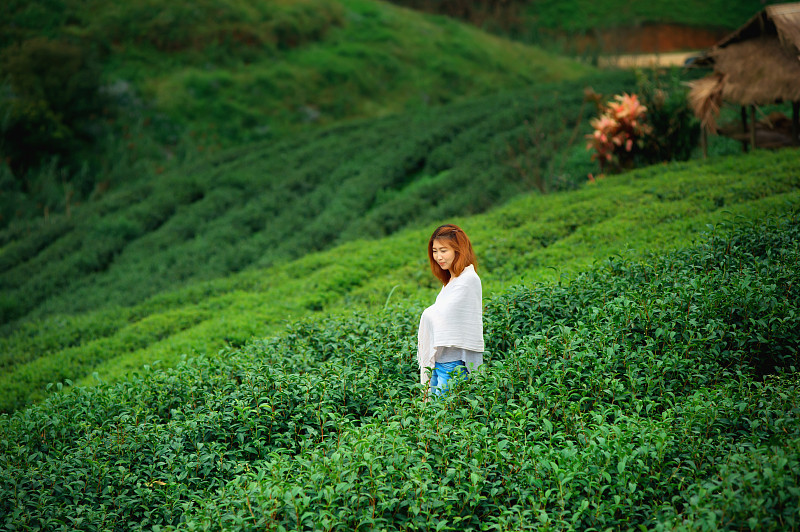 亚洲游客在泰国doiangkhang山的茶园