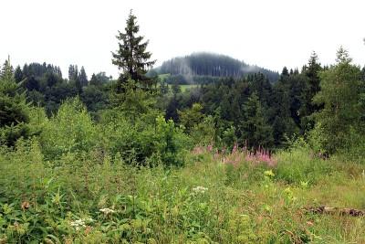 以及Natur