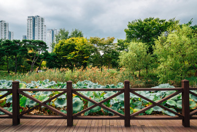 韩国仁川松岛国际城市米水河公园