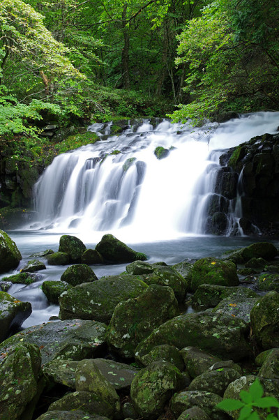 Tateshina ootaki
