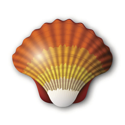 海贝