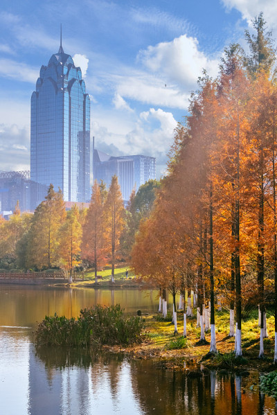 中国宁波鄞州公园的秋景
