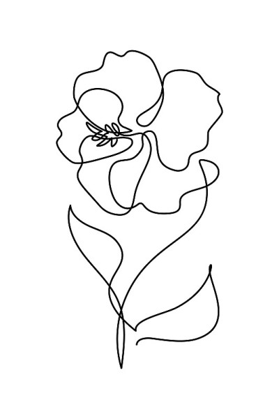 芙蓉花
