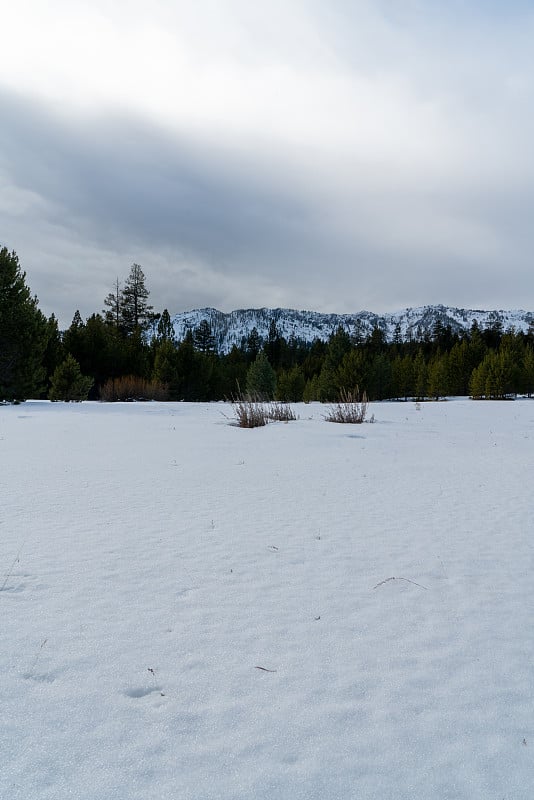 太浩湖瓦肖草甸州立公园的雪