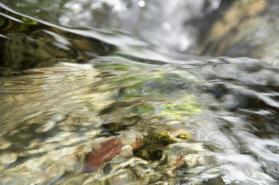 洪流