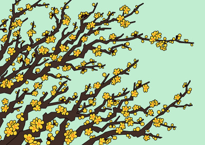 梅花(Chimonanthus praecox)插图