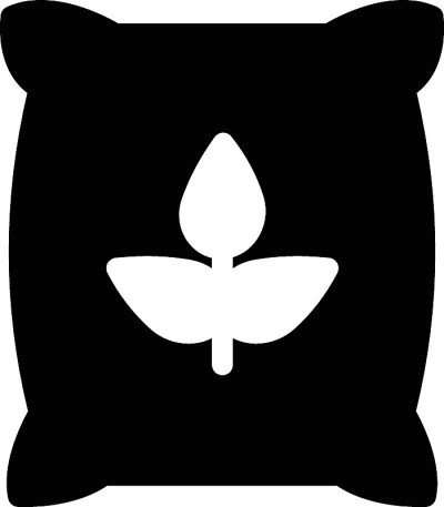 种子