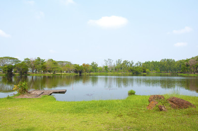 湖泊和树木景观