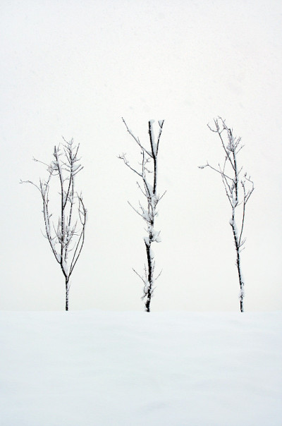下雪天的公园风景。
