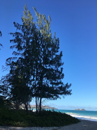 夏威夷瓦胡岛的怀马纳洛湾。