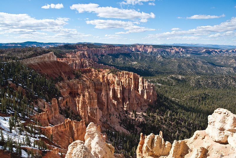 白色，红色hoodoo和森林峡谷