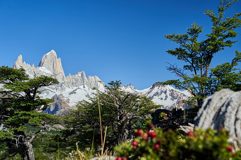 菲茨罗伊山(Mount Fitzroy)是阿根廷南部、南美洲巴塔哥尼亚(Patagonia)的一座高