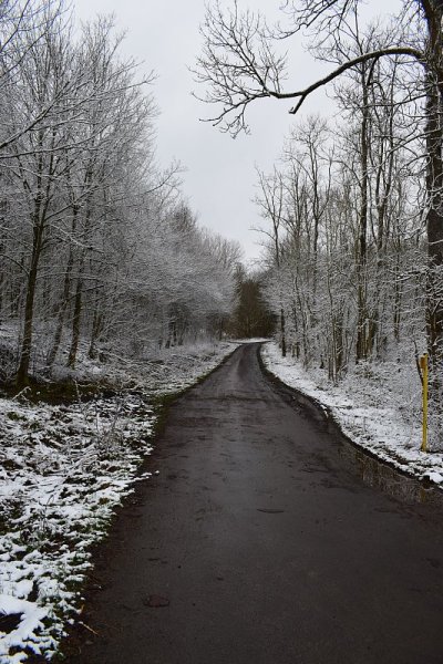 雪路