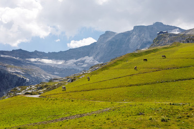 泰洛的山脉和冰川景观。奥地利内陆地区。