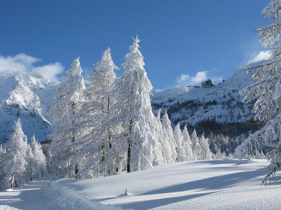 大雪
