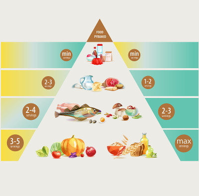 食物金字塔。