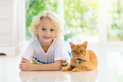 孩子喂家猫。孩子和宠物。