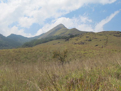 喀拉拉邦瓦亚纳德区Chembra峰山