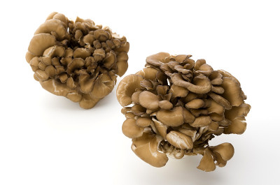 Maitake Mushrooms