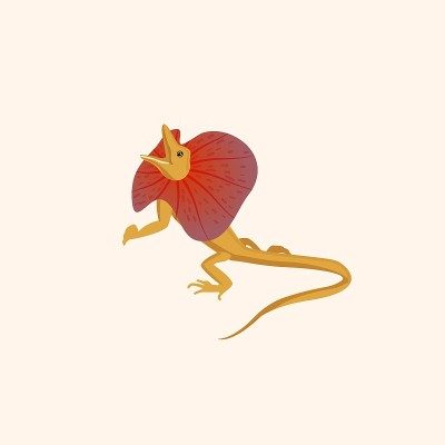 澳大利亚frilled-necked蜥蜴。矢量插图孤立在白色背景上。嵌套