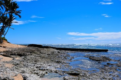 夏威夷瓦胡岛，马丽角海滩